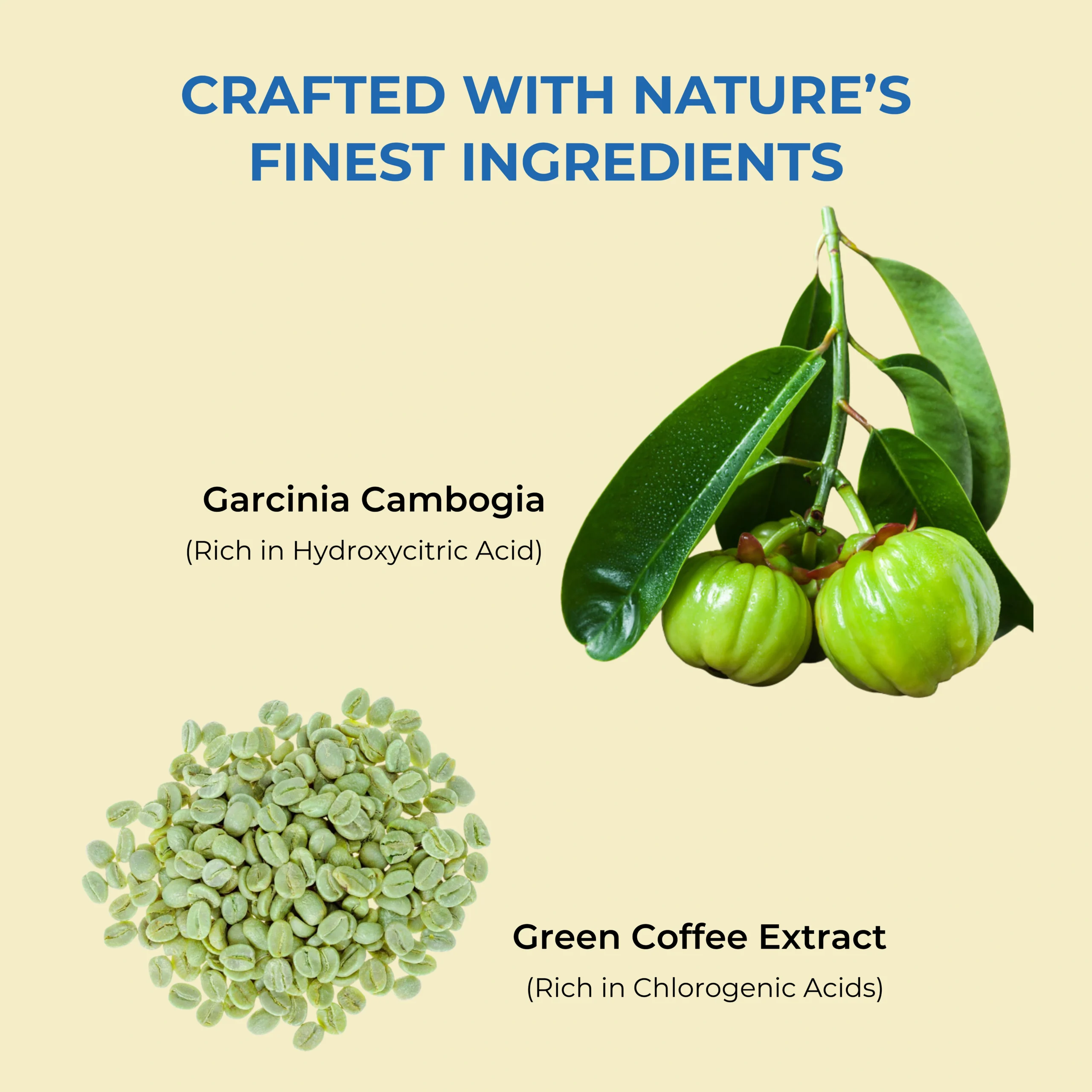 BabeLoss – Belly Fat Burner for Women Without Side Effects - 2