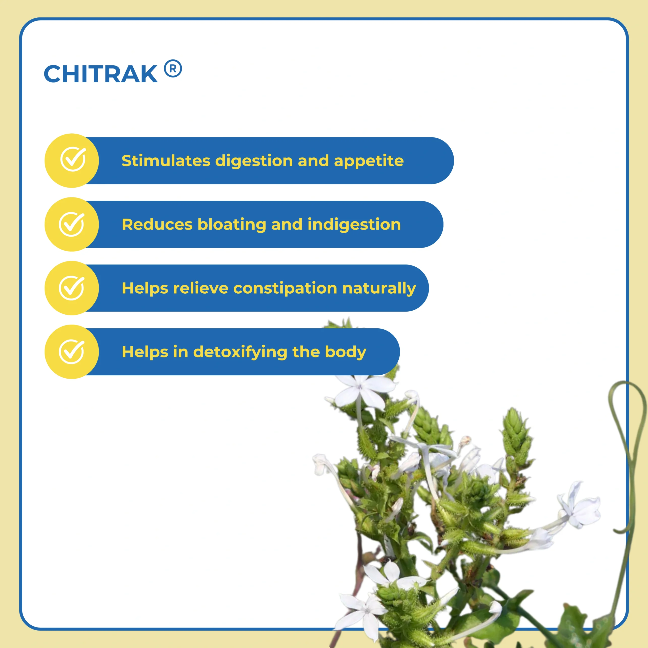 BroBoost | Best Ayurvedic Weight Gainer for Men in India - 10