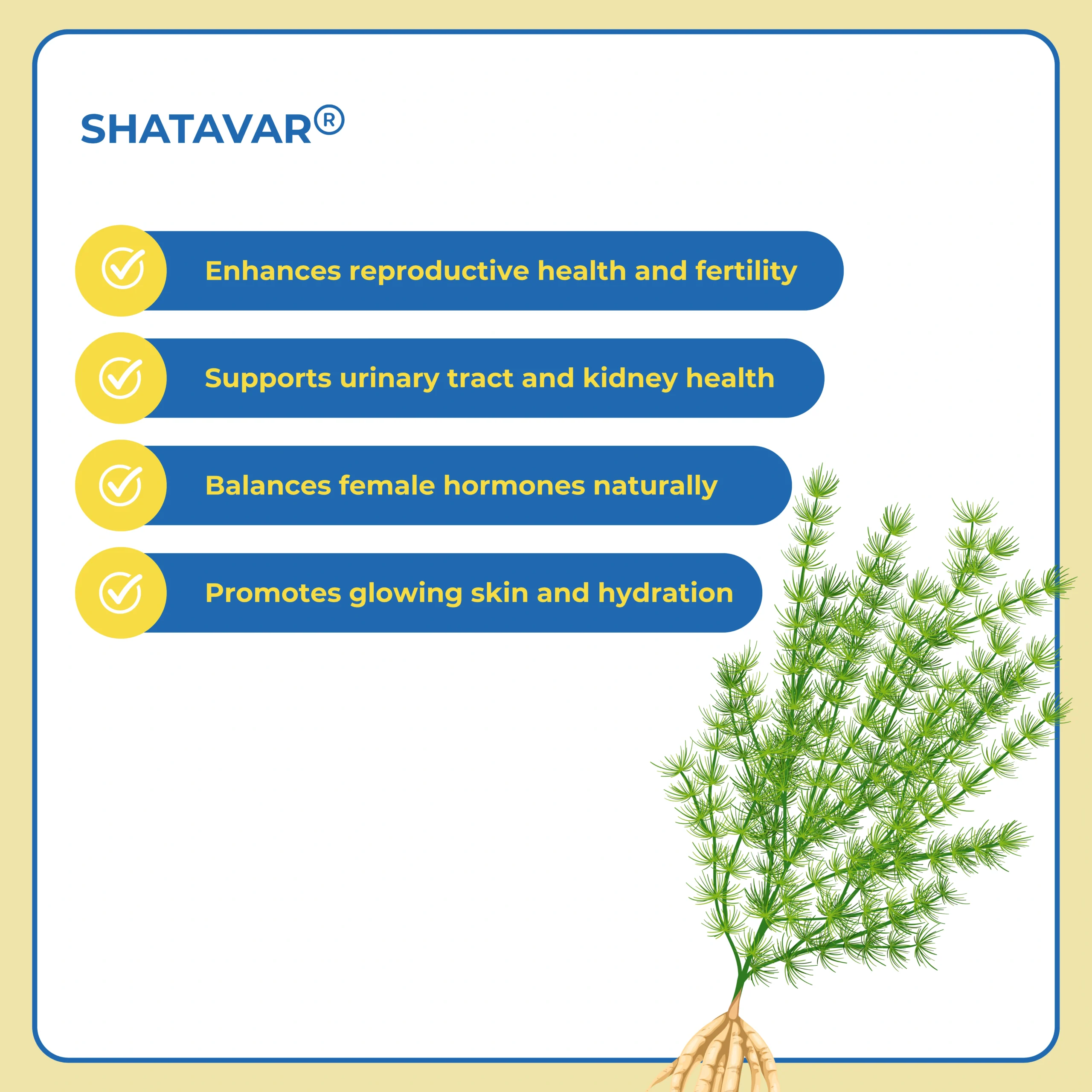 BroBoost | Best Ayurvedic Weight Gainer for Men in India - 18